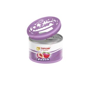 Sáp Thơm Ô Tô Oragnic Scent