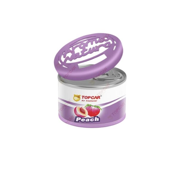Sáp Thơm Ô Tô Oragnic Scent